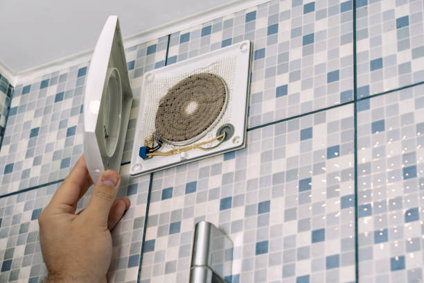 Air Duct Mold Removal in Lemont, IL