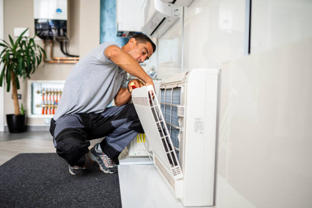 Best Air Duct Mold Removal  in Lemont, IL