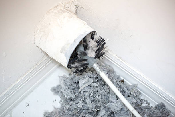 Best Residential Air Duct Cleaning  in Lemont, IL